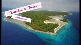 Tauchen in Palau - Mikronesien!