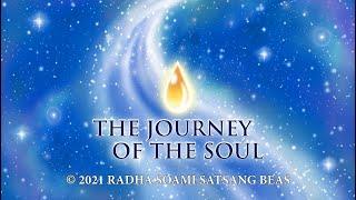 The Journey of the Soul (English) - RSSB Animated Videos