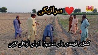 TREES PLANTS AGRICULTURE LAND  MOOMAL TV