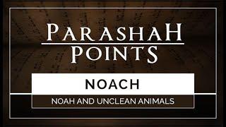 Parashah Points: Noach – Noah and Unclean Animals - 119 Ministries