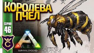 ПОЙМАЛИ КОРОЛЕВУ ГИГАНТСКИХ ПЧЁЛ! ARK Survival Evolved #46