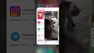 Как скачать видео с Instagram