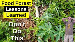 Homestead Life Lessons: How Not To Plant Papaya
