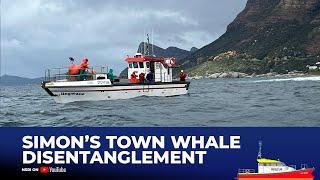 NSRI and SAWDN Assist Entangled Whale Near Simon's Town