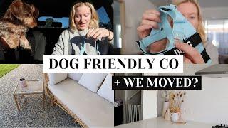 DOG FRIENDLY CO // DEMO & Review + WE MOVED??