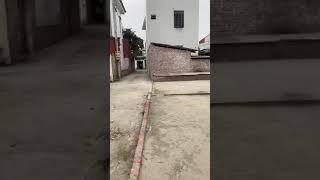 Bán 51m2 đất thổ cư Thọ Lộc Phúc Thọ giá rẻ LH 0988327119