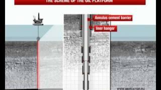 Causes of the oil spill in the Gulf of Mexico