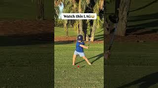 SlO-Mo Baby Goat swing 