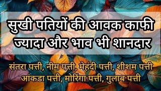 नीमच औषधि मंडी में पेड़ों की पत्तियों और फलों के छिलकों की अच्छी आवक ।। नीमच मंडी भाव