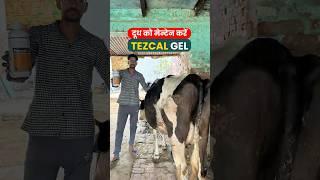 दूध को तेज़ी से बढ़ाये और मेंटेन भी रखे TezCal Gel 