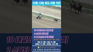 [서울] 10월 13일 일요 10경주 최고봉 임벗 강호 최강자 전문위원 쌍승 고배당 적중 #고배당 #horse #경마와베팅그리고