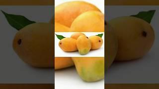 Mangifera indica (Mango) #shorts #shortsvideo #youtubeshorts #mango