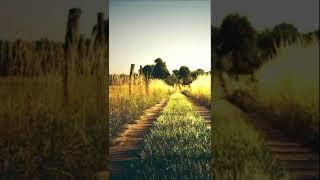 Хороший СОН в Исламе! - ДОСТОВЕРНО ПРО ИСЛАМ -  Имам Ахмад