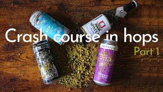 A crash course in HOPS part 1 (Europe)