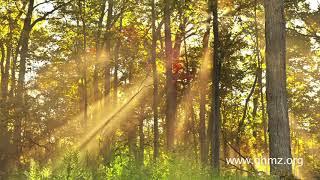 光環密宗 紫光上師 聖山佛國   Holy Mountain Buddha Land   Sound of Silence