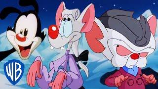 Animaniacs | Best of Pinky and the Brain  | Classic Cartoon Compilation | WB Kids