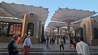 Madinah street view || Murahnya Umroh private dapet ticket promo 50% Saudi Airlines' Mau..??