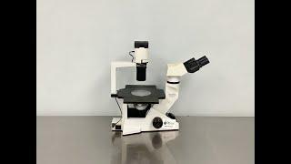 Olympus CKX41 Inverted Lab Microscope Video ID 24620