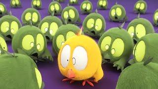 Invasão das Chickies | Onde está Chicky? | Pintinha amarelinho | Coleção desenhos animados Infantil