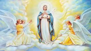 (THURSDAY) LUMINOUS MYSTERIES. HOLY ROSARY: Mother Mary Pray for Us