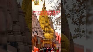Kashi Vishwanath  Mahadev Status #mahadev #bholenath #kashivishwanath #banaras #ytshorts