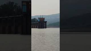navja tower koyna backwaters #koyna #shorts #ytshorts