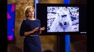 The science of friendship | Lydia Denworth