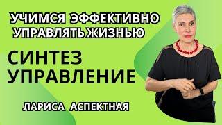 Синтез-управление. Подходы эффективного управления.