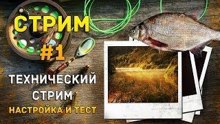 Техническая трансляция PochtaLion Play