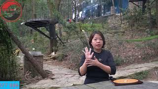 Hướng Nhà Và Những Sai Lầm Khi Chỉ Chọn Hướng Hợp Tuổi| Phong thủy Song Hà