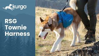 The RSG Townie Harness | Create the pack you want