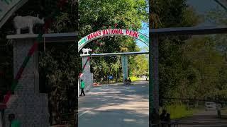 Manas national park, Assam