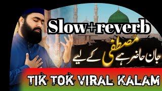 Jan Hazir Ha Mustafa (Saw) Ka Lia Slow Reverb Naat || TikTok Viral Naat Jan Hazir Ha Mustafa Ka Lia