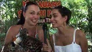 Travel Tips to Koh Samui Thailand