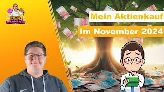 Mein Aktienkauf im November 2024 - Die Gewinner kaufen!