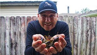 CRAWFISHING in a roadside ditch. Louisiana Crawfish.