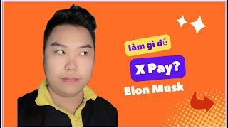X có Pay không ? Nên theo hướng nào #mmo  #dommo #vpspika #makemoneyonline