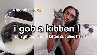 ADOPTING MY FIRST CAT + first few days together ! (adoption process, kitten supplies haul, etc.)