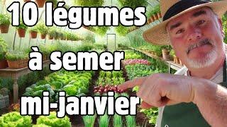 Les Incontournables du Potager en Janvier: Nord vs Sud