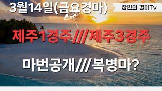 [경마] 3월14일(금요경마) 제주=1.3경주///마번공개///복병마?