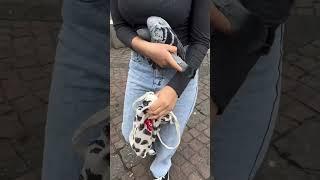 this girl catches pigeons #shortsvideo