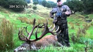 Hunting New Zealand - Ample Hunting Red Stag