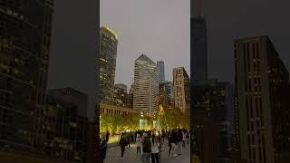 #Shorts 4 | Chicago Cloud Gate | Stunning Evening View