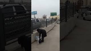 съезд направо с моста на куйлюке в сторону рохата.