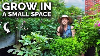 Creating a Balcony Garden (For Complete Beginners)