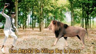 Lion attack2 on village boy in forest