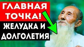 ВЫДАЮЩАЯСЯ ТОЧКА желудка и долголетия от КИТАЙСКИХ МУДРЕЦОВ!