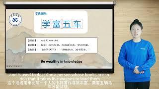 “译”心学堂——数字系列成语中含“五”的成语