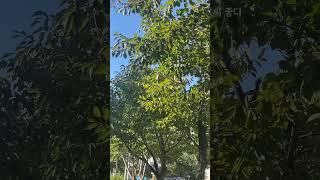 가을보단 겨름 같네️️ 그래도 햇볕 쨍쨍 좋다