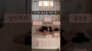 자기전에 굳어있는 전신스트레칭 순환 시켜주기 #틈새운동 #뱃살빼기 #전신스트레칭 #척추스트레칭 #굽은등 #라운드숄더 #홈트